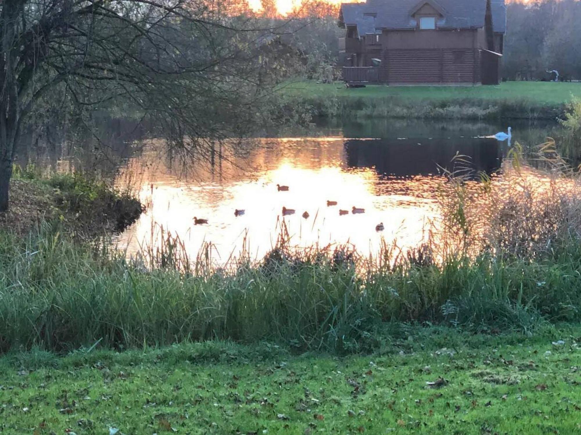 Holiday home Private Estate Lodge-cabin Near River Thames *