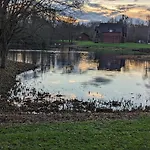 Private Estate Lake Lodge-Cabin Near River Thames