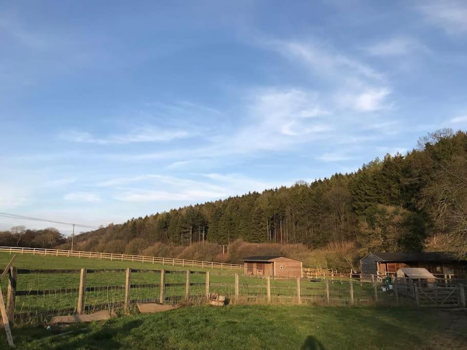 The Little Thatch - Close To Marlow And Henley Holiday home *