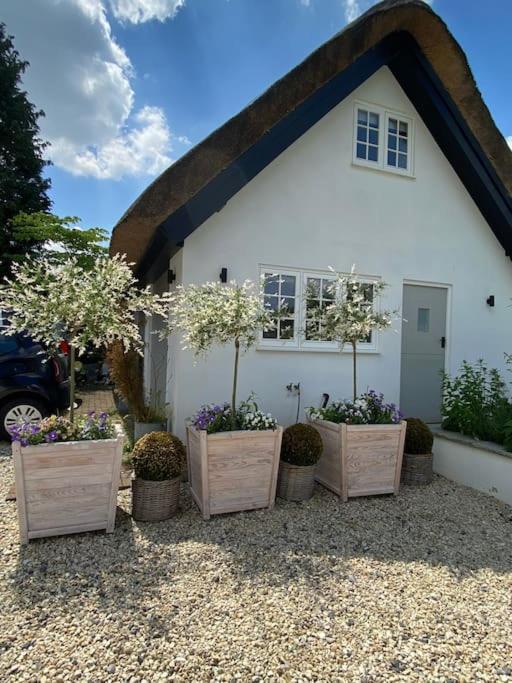The Little Thatch - Close To Marlow And Henley Holiday home Marlow (Buckinghamshire)